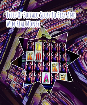 Different buffalo slot machines