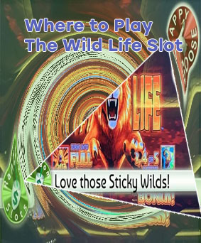 The wild life slots real money