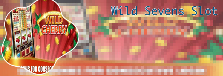 Wild 7 slots free